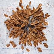 Daphne im Herbstregen I