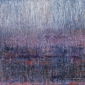 Daphnes Blick in die Dämmerung