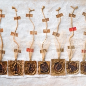 Daphnes Flammentropfen I