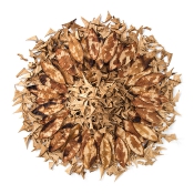 Daphnes Selbstbildnis III