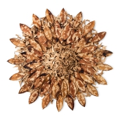 Daphnes Selbstbildnis IV