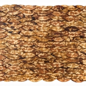 Daphnes Selbstbildnis X