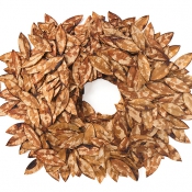 Daphnes Selbstbildnis XV