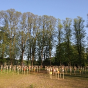 Die Sonne wird nicht mehr frieren