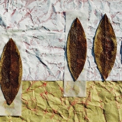 Es ist schon Herbst, Daphne VII