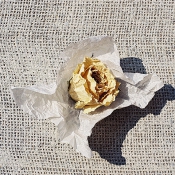 Frieden ist der Weg · Detail