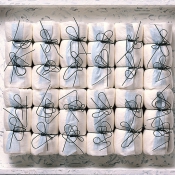 Daphnes Wunsch III