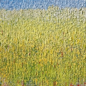 Innere Reise XVI