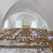 Literarische Blumenwiese