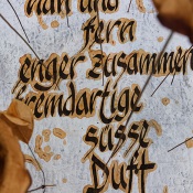 Literarische Blumenwiese · Detail