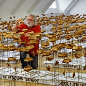 Literarische Blumenwiese · Atif Gülücü