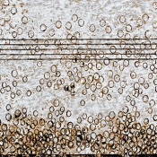Musikalischer Regen I