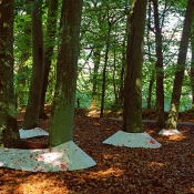 Schwarzes Licht, weisse Schatten