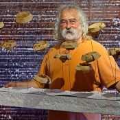 2016 · Atif Gülücü im Ostholstein-Museum in Eutin