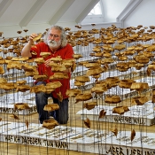 2016 · Atif Gülücü im Ostholstein-Museum in Eutin