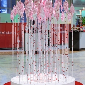 Von der Wurzel der Idee zur Blüte